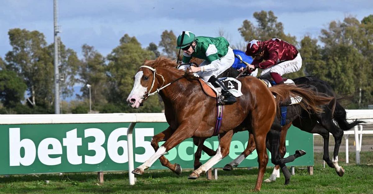 giornata amara per allegri i cavalli della sua alma racing deludono a capannelle