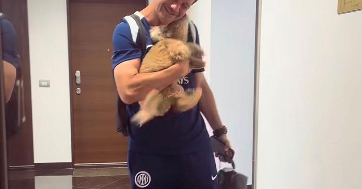 VIDEO / Cristian Chivu torna a casa dopo l’amichevole vinta con l’Inter: momento coccole VIDEO / Cristian Chivu torna a casa dopo l’amichevole vinta con l’Inter: momento coccole