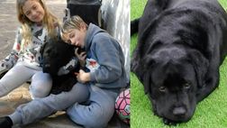 Lutto in casa Totti, addio al cane Diego: il messaggio da brividi sui social