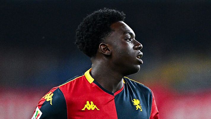 Genoa, De Rossi attende buone notizie da Ekhator. Gli ultimi aggiornamenti - immagine 1