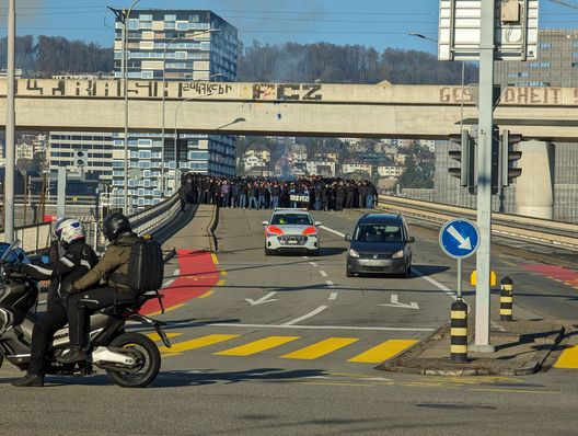 I due cortei e i tanti colori del derby: il Grasshopper torna a battere lo Zurigo…- immagine 2