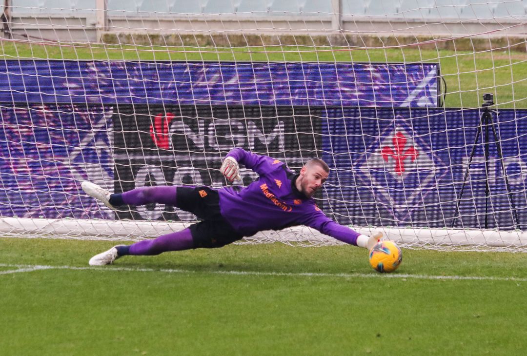 Gallery VN – Allenamento a porte aperte della Fiorentina, le immagini più belle - immagine 162