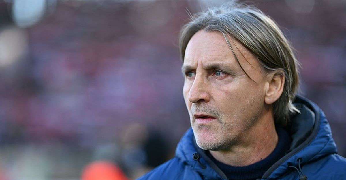 Nicola dopo Fiorentina-Cremonese: "Sono deluso, qualcuno dei nostri deve capire dove gioca"