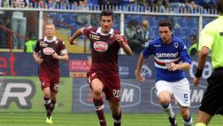 Toro, occhio di riguardo alla Samp