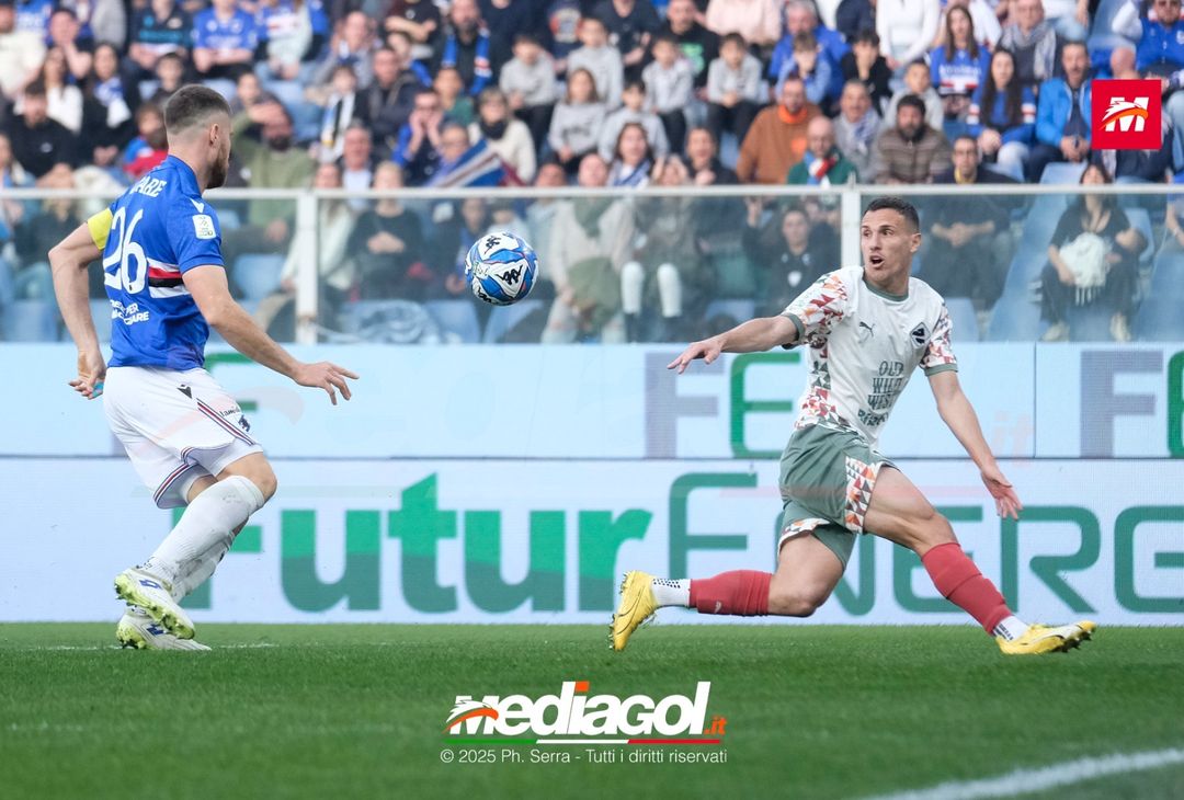 FOTO Sampdoria – Palermo | Serie B 2024 - immagine 12