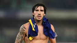 I numeri reali del player trading