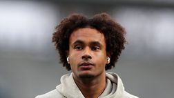 Milan, Altafini: “Zirkzee grande colpo. Magari con Thiago Motta”
