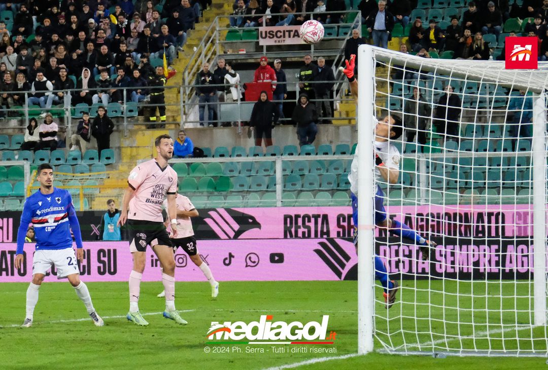 FOTO Palermo – Sampdoria Serie B 2024/25 - immagine 40