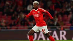 La Fiorentina ci prova per un mediano del Benfica? Il prezzo è proibitivo