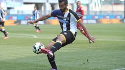 Notizie Udinese – Cannavaro va, ma Pinzi resta? Tutti i dettagli