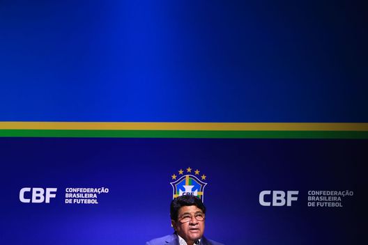 Crisi tecnica e politica: Fernando Diniz lascia la panchina della Nazionale brasiliana- immagine 2