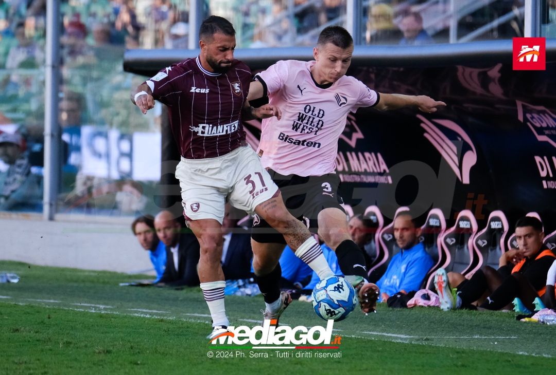 FOTO, Palermo-Salernitana 0-1 8a giornata Serie B 2024/25 - immagine 21