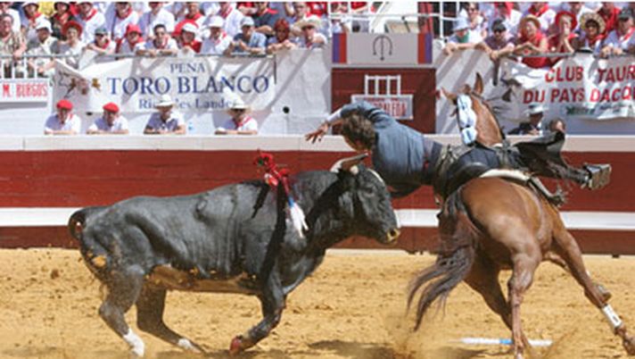 Un Toro nel Palio - immagine 1