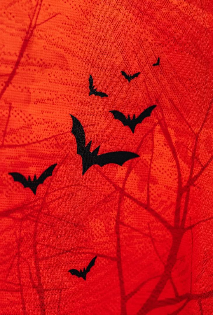 Napoli-Como, spogliatoio “infestato” per gli azzurri! Tutto pronto per la gara – GALLERY - immagine 6