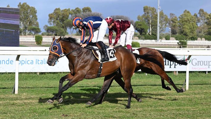 ph. Domenico Savi Allegri Capannelle