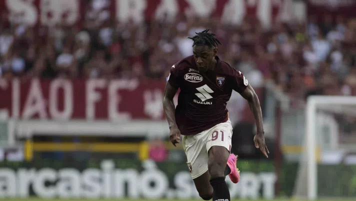 zapata