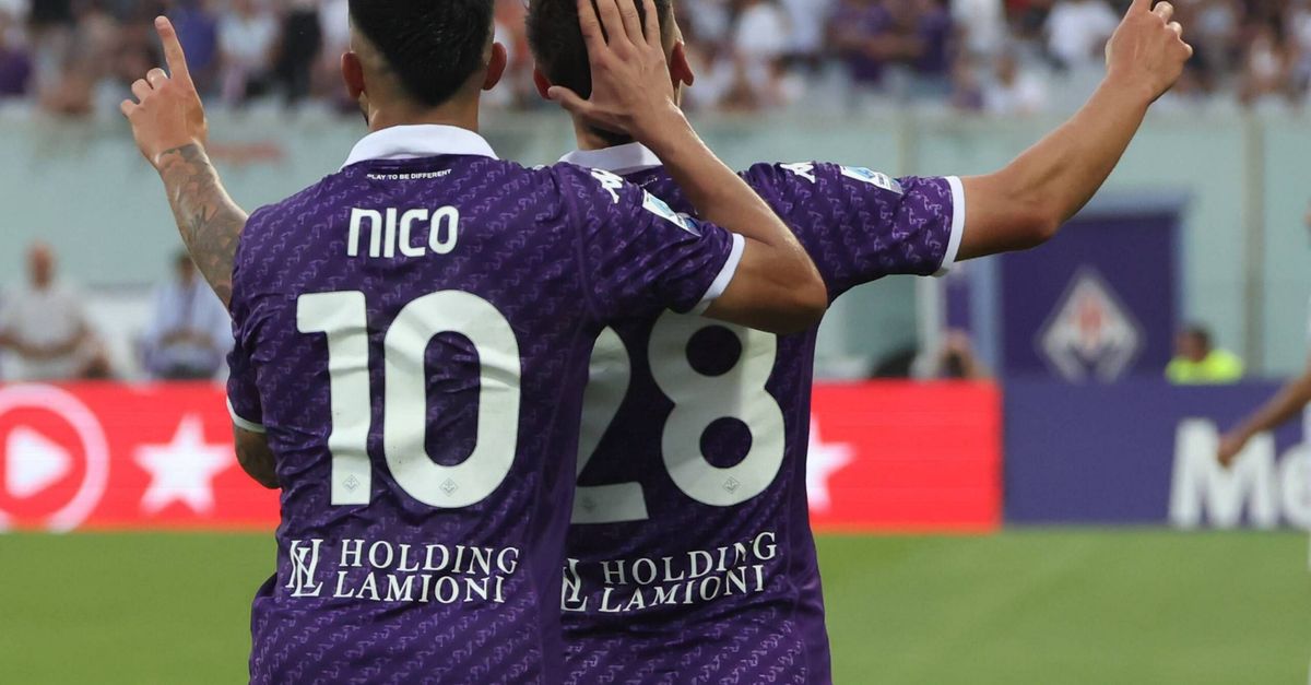 Stelo HOPE MONTAGGIO DIRETTO Viola Stelo HOPE MONTAGGIO DIRETTO Viola