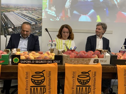 Il Maap con calcio e pallavolo: lavoro di squadra per promuovere uno stile di vita sano- immagine 2