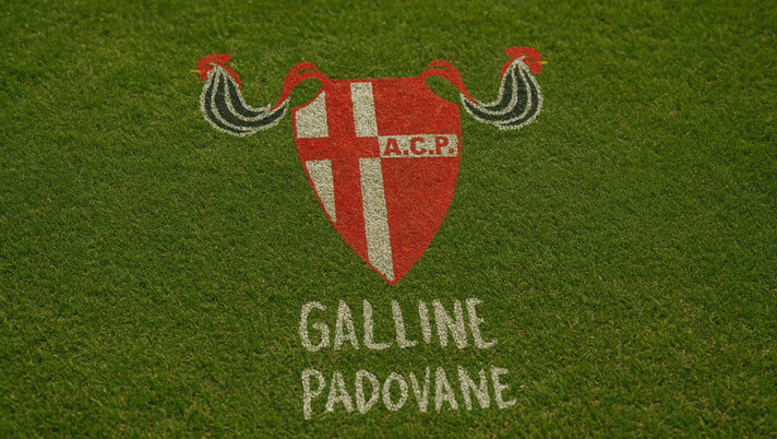 Rinasce lo storico club femminile delle Galline Padovane: i dettagli Rinasce lo storico club femminile delle Galline Padovane: i dettagli - immagine 1