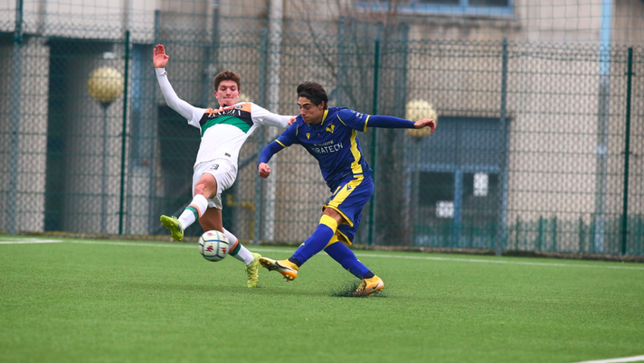 Coppa Italia Primavera, Cagliari-Hellas, le formazioni ufficiali - immagine 1