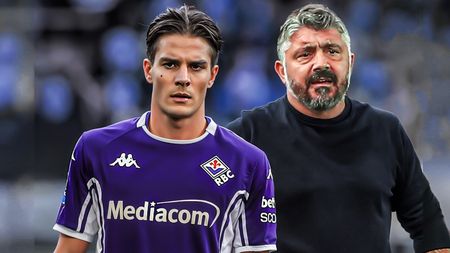 Gattuso Fagioli grafica