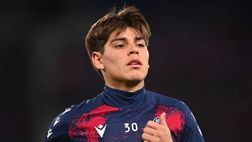 Ds Bologna: “Roma su Dominguez, le ultime! Perché Lucumì fuori, la nostra posizione. Fabbian…”