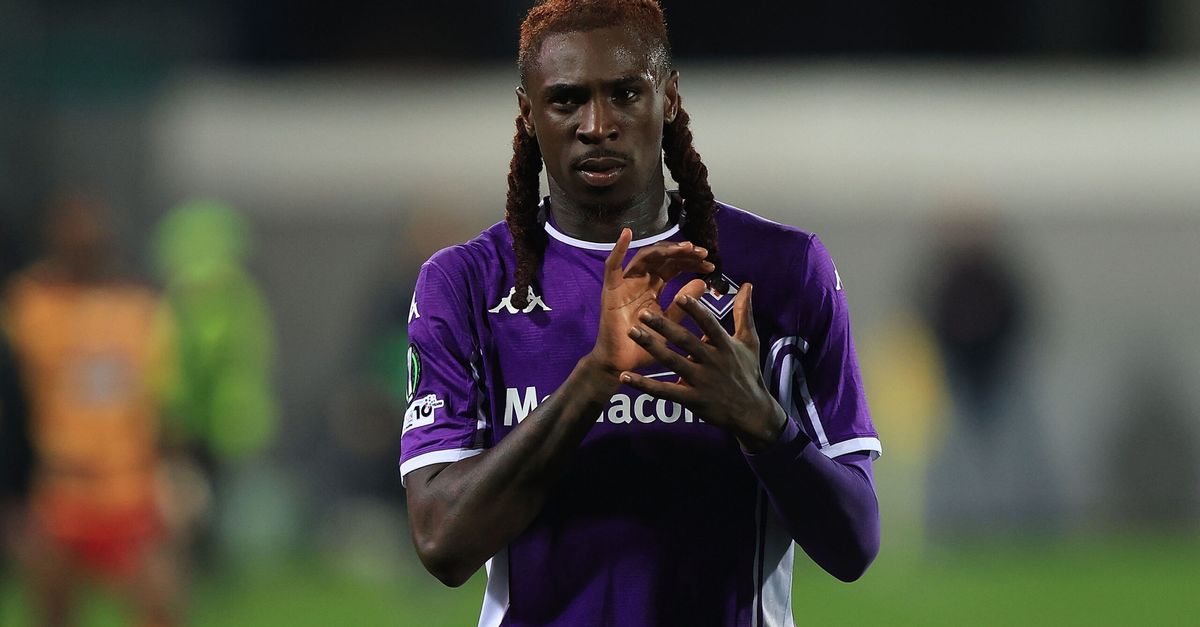 Imagem da notícia - violanews.com