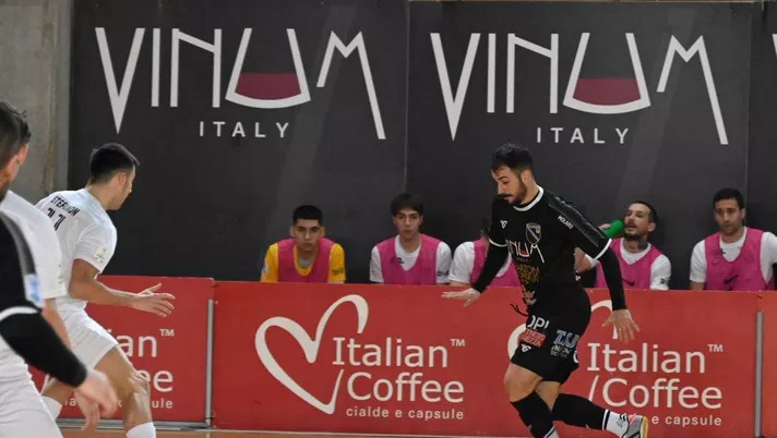 Vinumitaly Petrarca, penultima di campionato contro il Genova: i dettagli - immagine 1