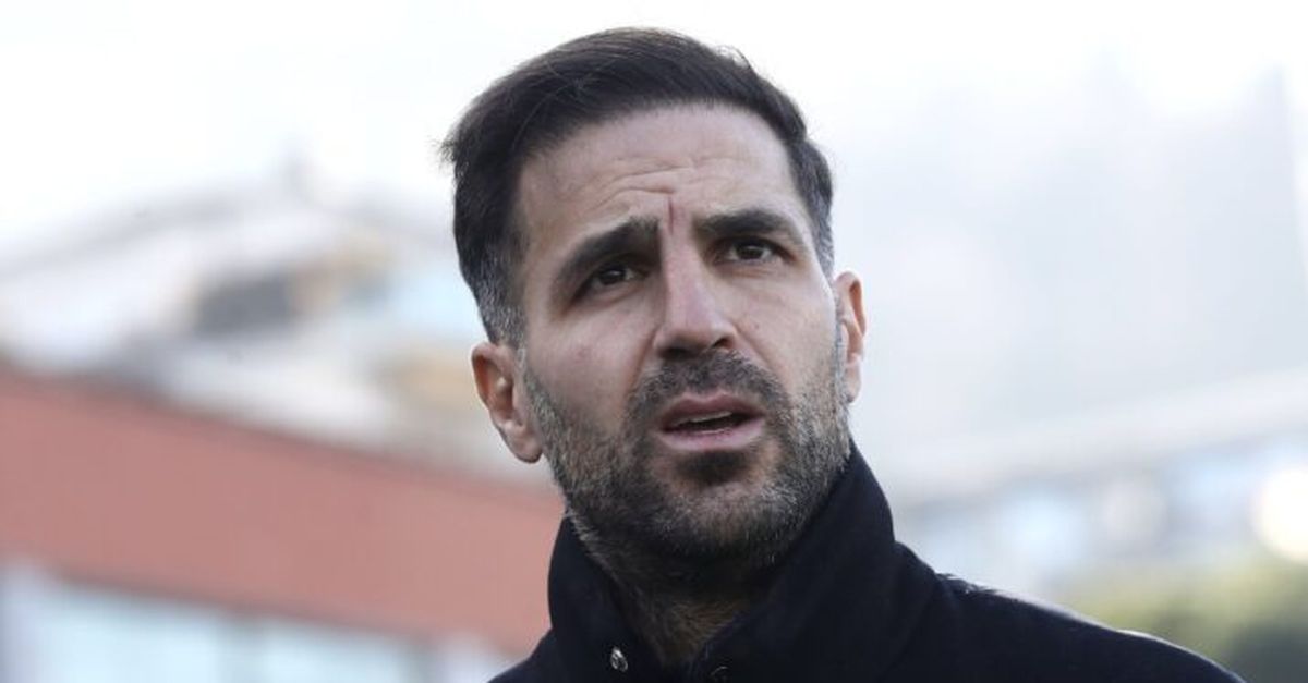 Como, Fabregas: "Addai e Morata sono vicini al rientro. Nico Paz e Baturina insieme? Vedremo"