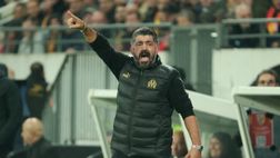 Gattuso-Ounahi show in panchina: la scena che ha fatto impazzire i tifosi