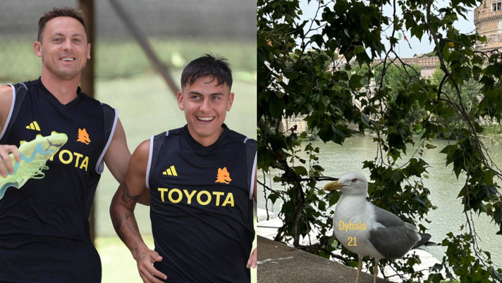 Matic si rilassa con “Dybala” ma è un gabbiano. L’esilarante scherzo del serbo Matic si rilassa con “Dybala” ma è un gabbiano. L’esilarante scherzo del serbo - immagine 1