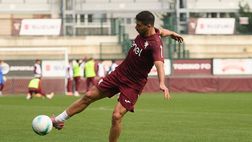 Fantacalcio / Serie A, Torino-Pisa: le formazioni ufficiali. Baroni si affida a Simeone
