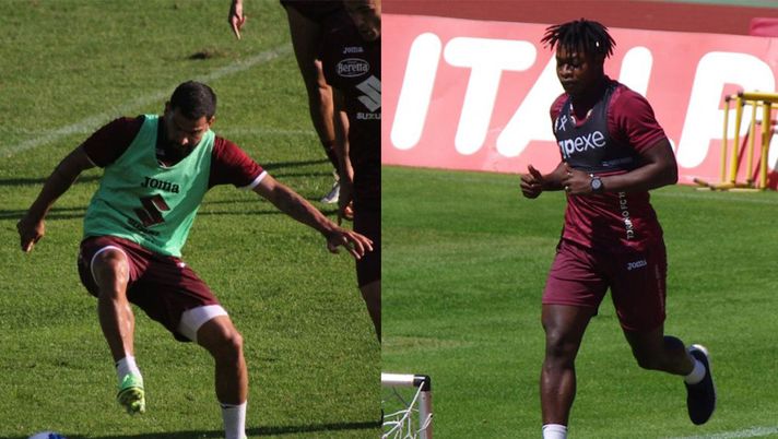Torino, senza Pobega è ballottaggio tra Rincon e Kone contro lo Spezia Torino, senza Pobega è ballottaggio tra Rincon e Kone contro lo Spezia - immagine 1