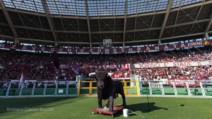 Il Toro deve guardare al futuro, non voltarsi indietro - immagine 1