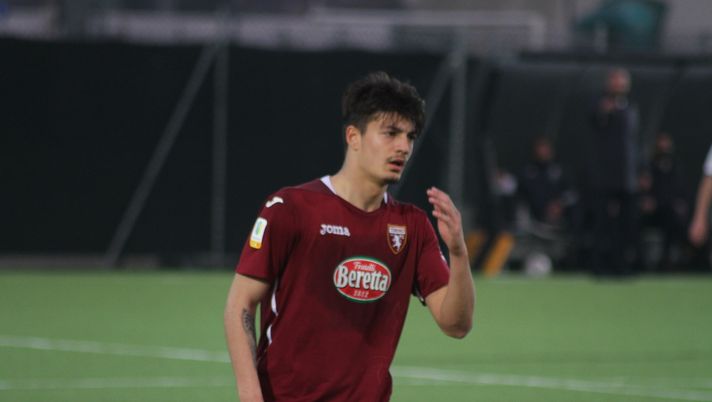 Cancello Torino Primavera