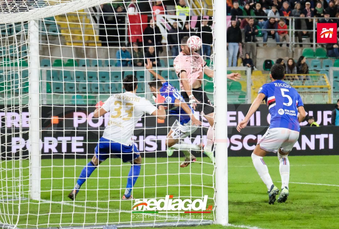 FOTO Palermo – Sampdoria Serie B 2024/25 - immagine 24