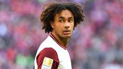 Verona-Bologna, le formazioni ufficiali: Zirkzee sfida Bonazzoli. C’è Folorunsho