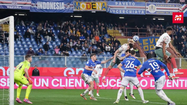 Sampdoria-Palermo, i precedenti: l’ultima vittoria al Ferraris risale al 2013 - immagine 1