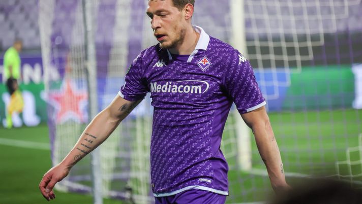 La sveglia del Gallo: la Fiorentina chiede a Belotti i gol qualificazione - immagine 1