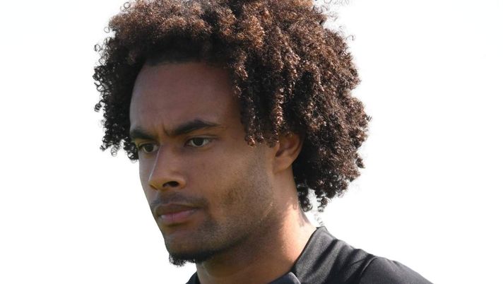 Roma e Milan di nuovo sulle tracce di Zirkzee. Calamai: 'Farebbe più comodo a ...'