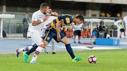 Pagelle Verona: Caracciolo patatrac, Siligardi smarrito, Luppi lotta