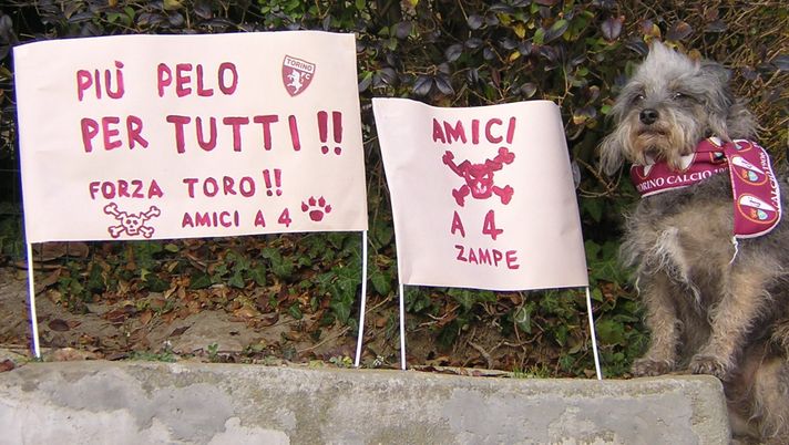 Bizzarre perversioni sessuali - immagine 1