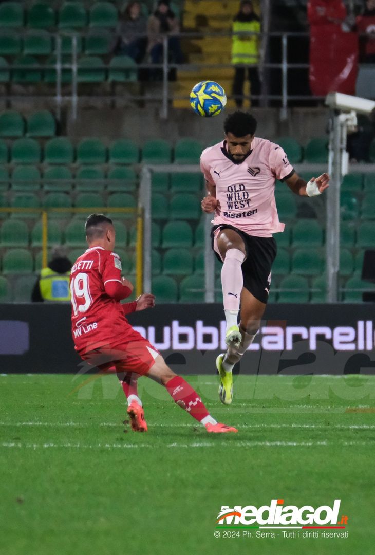 FOTO Palermo – Bari 1-0 Serie B 2024-25 - immagine 8