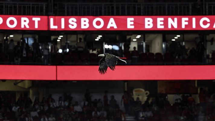 L’Aquila sbaglia punto di atterraggio: ma, clamoroso, il Benfica ha vinto lo stesso il derby! - immagine 1
