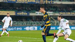 Pagelle Verona: Nicolas e Gomez, che errori. Siligardi flop