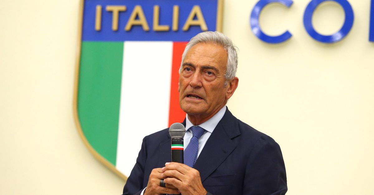 criscitiello gravina si deve vergognare per aver ammazzato il calcio italiano da Pianetamilan.it criscitiello gravina si deve vergognare per aver ammazzato il calcio italiano