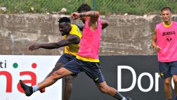 Verona-Top 22 Dilettanti, le formazioni di partenza