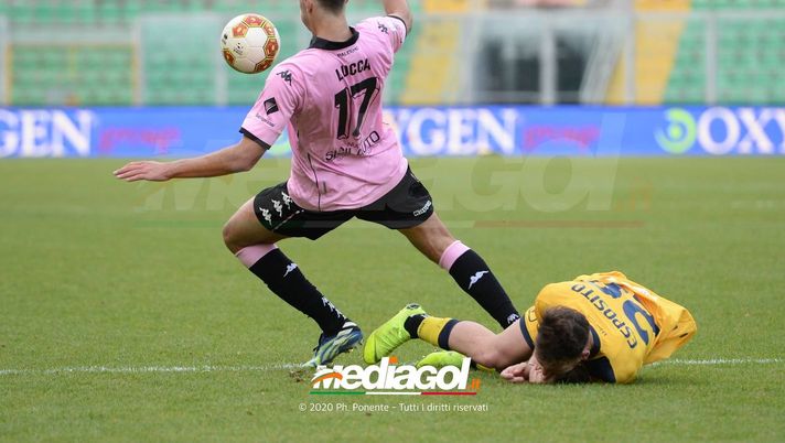 Pisa, anche la Sampdoria sulle tracce di Lucca? L’agente: “Intesa con l’Udinese” Palermo