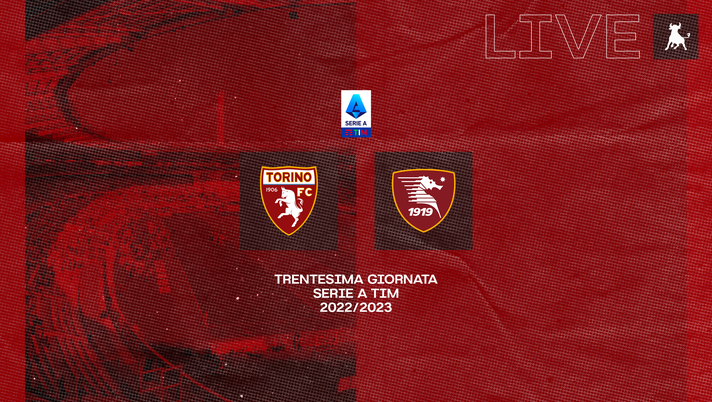 FINALE! Torino-Salernitana 1-1 - immagine 1