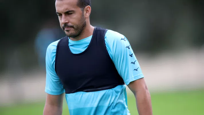Pedro